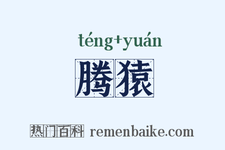 腾猿是什么意思的图片